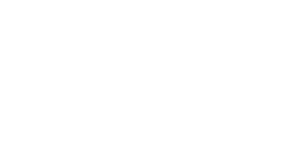 logo-digital-league-white